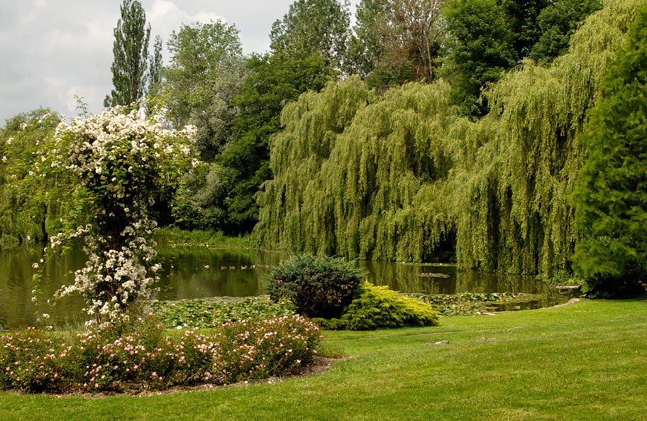 Parc de l'Étang, Battrans, France, France
